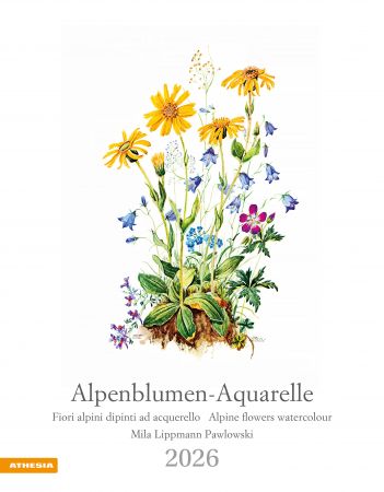 Alpenblumen-Aquarelle Kalender 2026