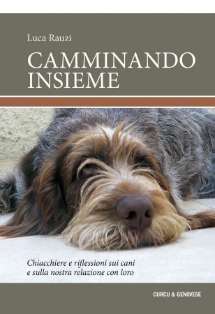 Camminando insieme