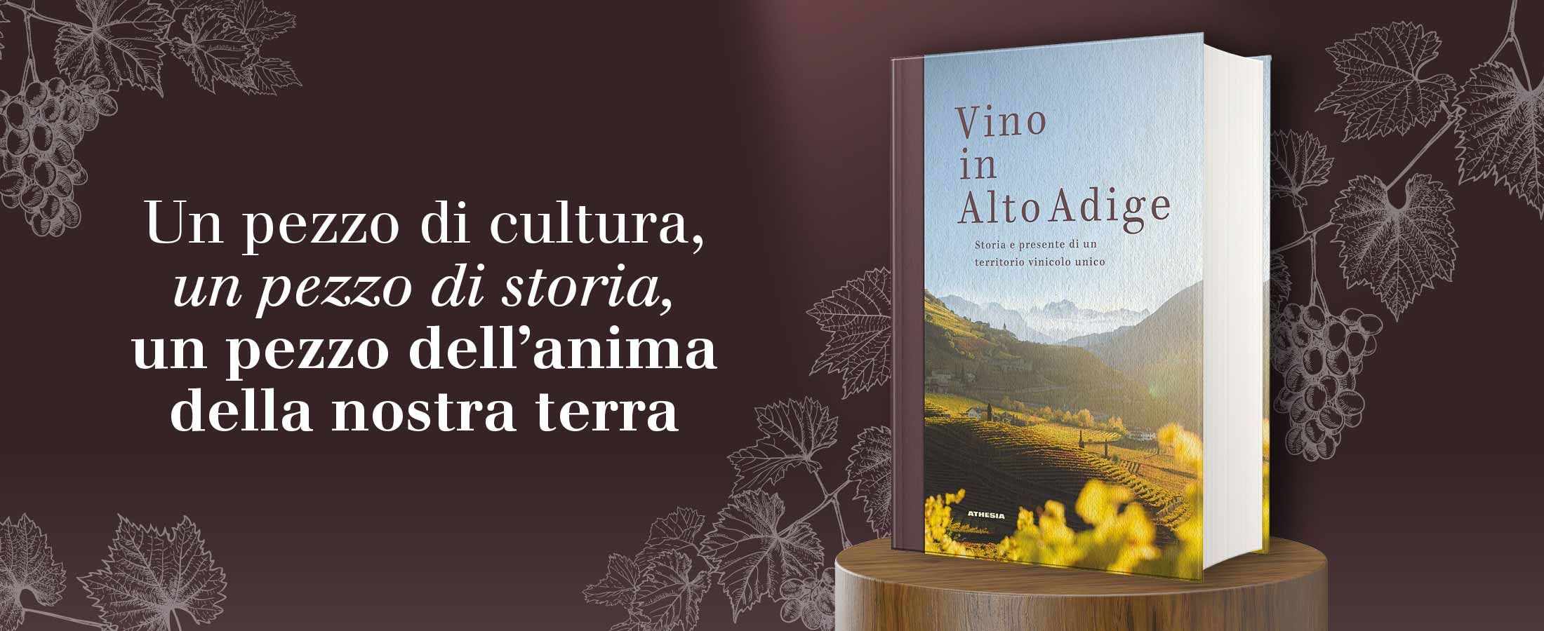 Vino in Alto Adige